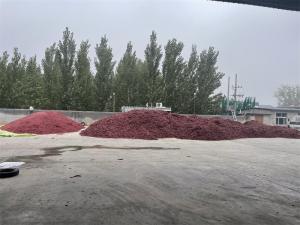 场地实拍